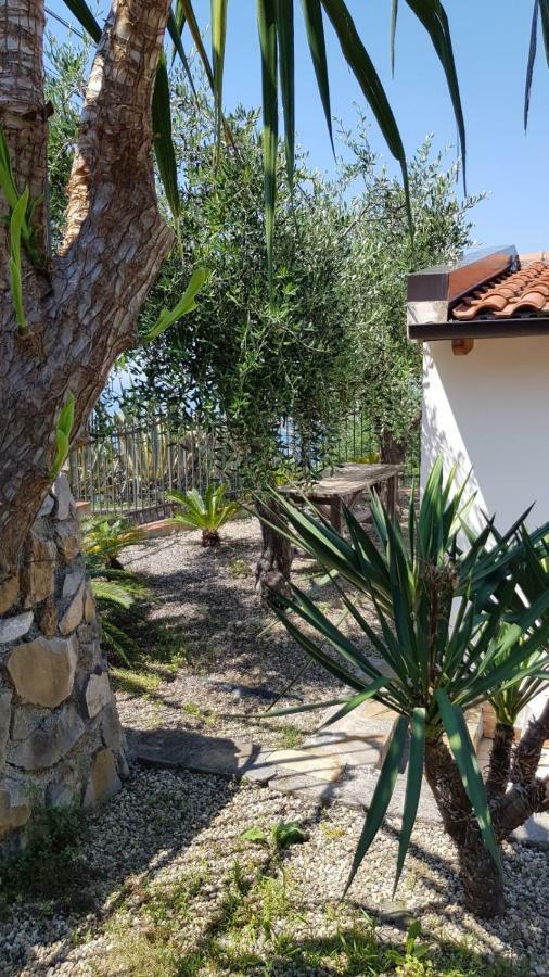Piccola Casa Con Giardino Villa Sanremo Bagian luar foto